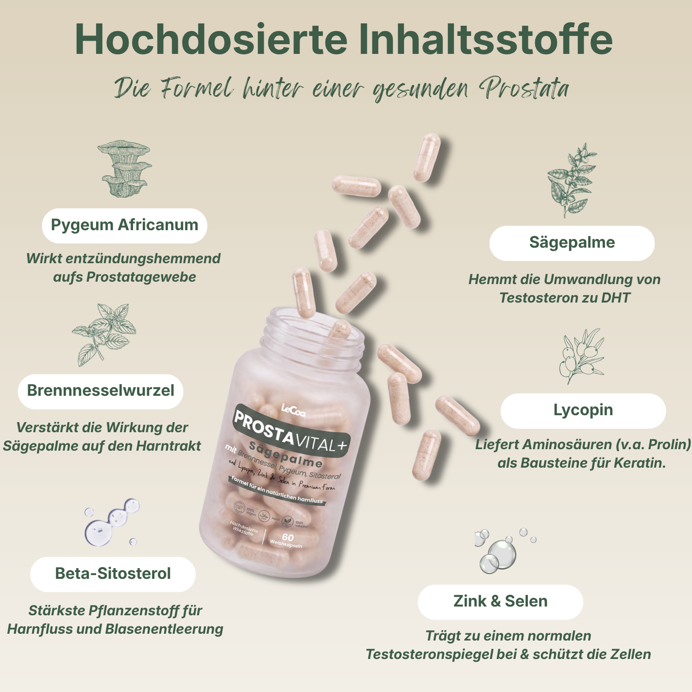 ProstaVital+