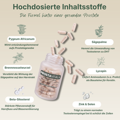 ProstaVital+