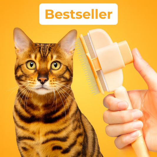 FellFix™ Pro - Tierhaarbürste